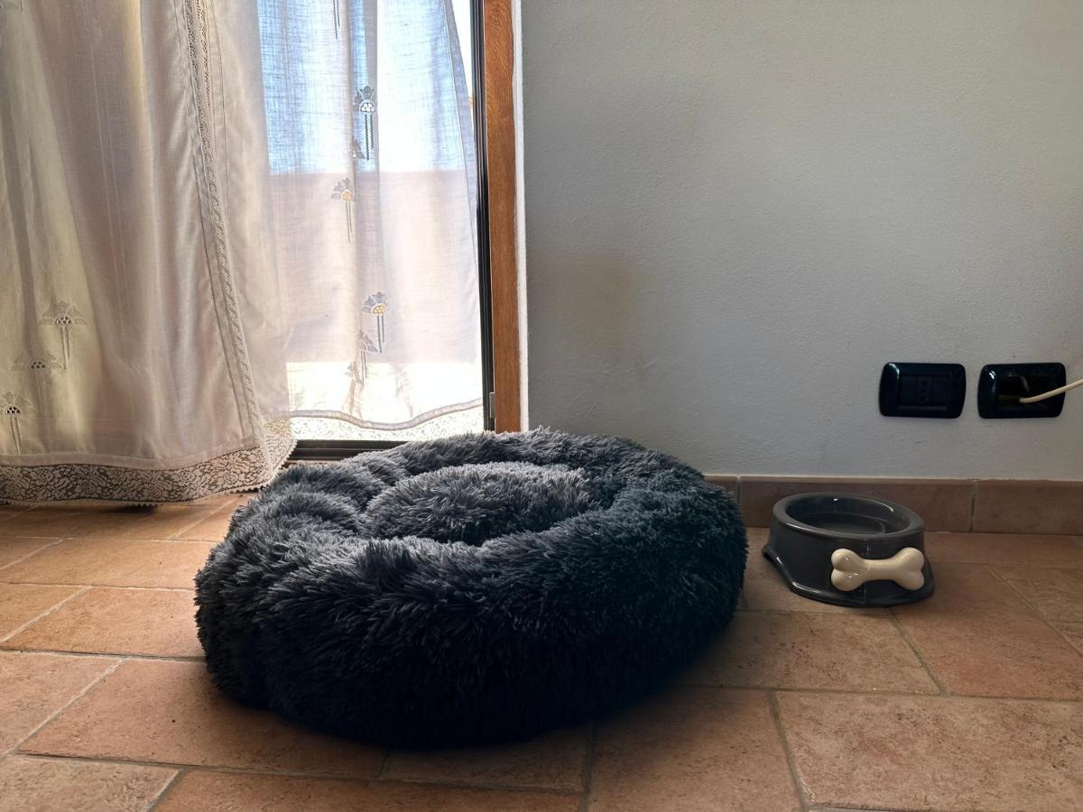 Funtana Meiga Crock House 빌라 외부 사진